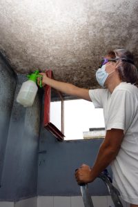 Controlling the Mold and Mildew Problem at Workplace Image 08152016