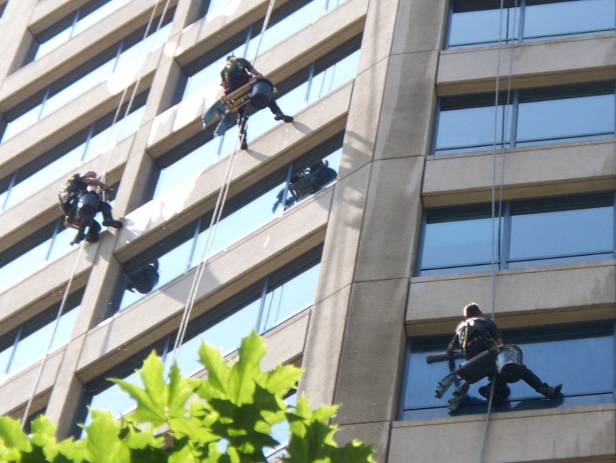 why-professional-window-cleaning-is-going-to-shine-your-business-picture