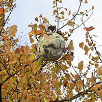 cce_prolawncare_blog2_innerimage