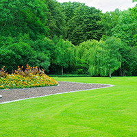 cce_prolawncare_innerimage