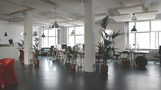 A cozy and bright office space