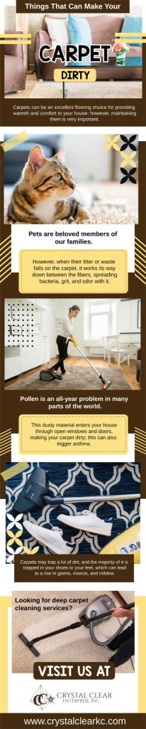 Things that can make your carpet dirty