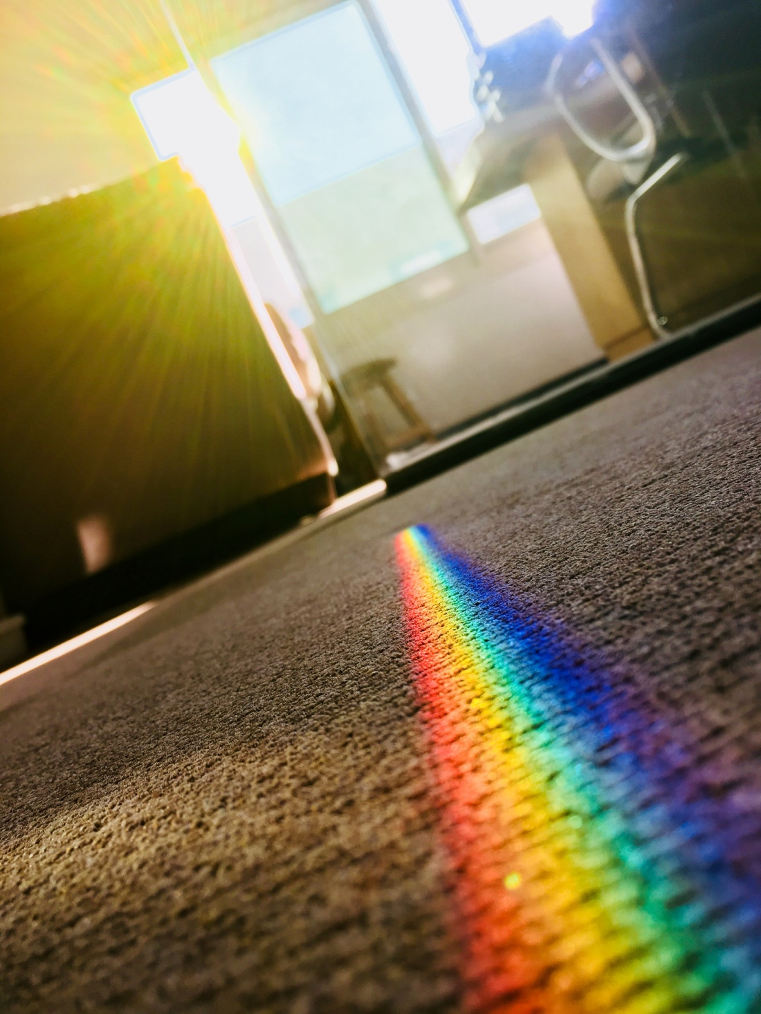 An office with a clean carpet.