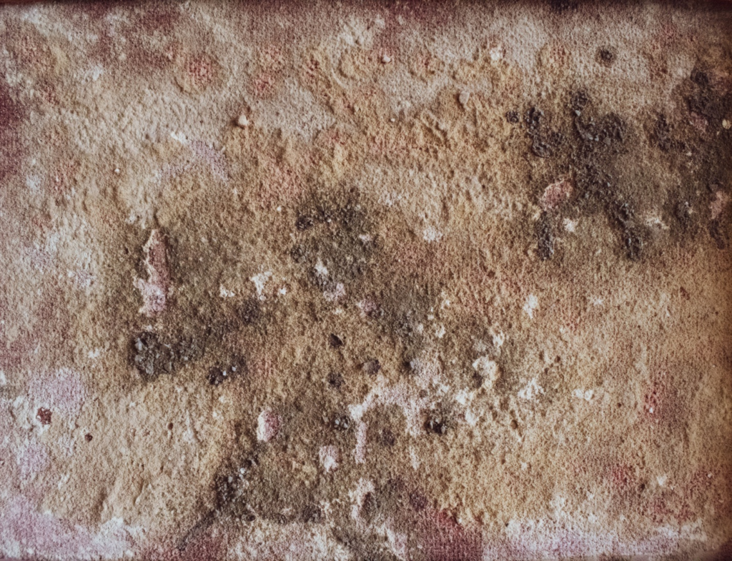 A surface with mold growth in a commercial workplace in Kansas City