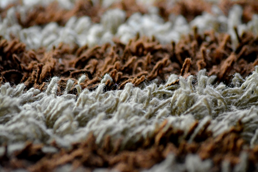 Close-up of a carpet