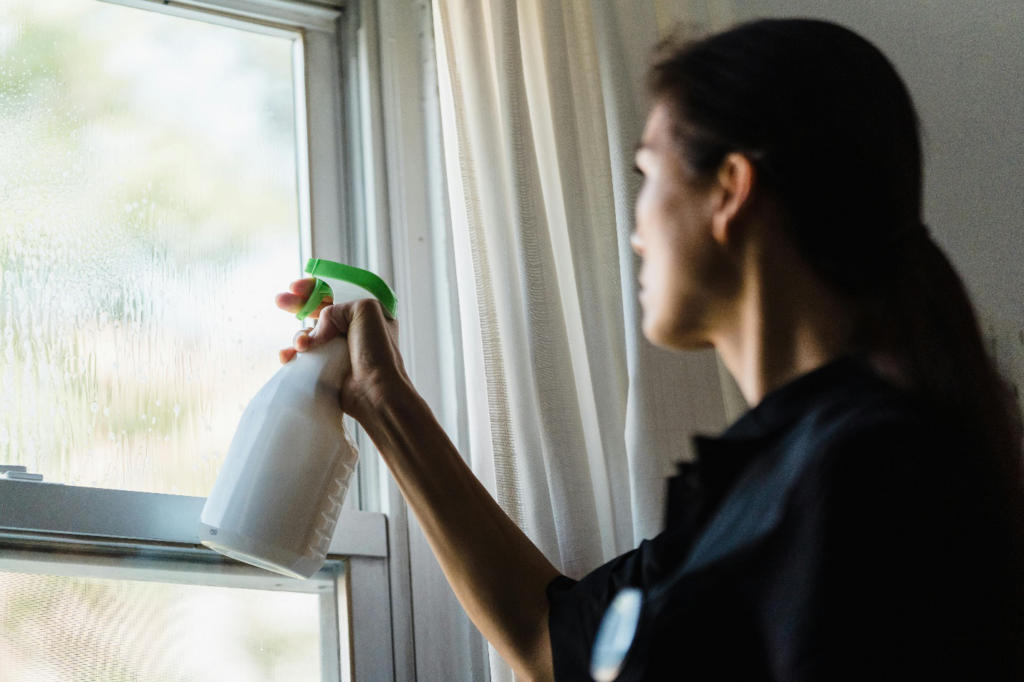 a woman spraying on a window