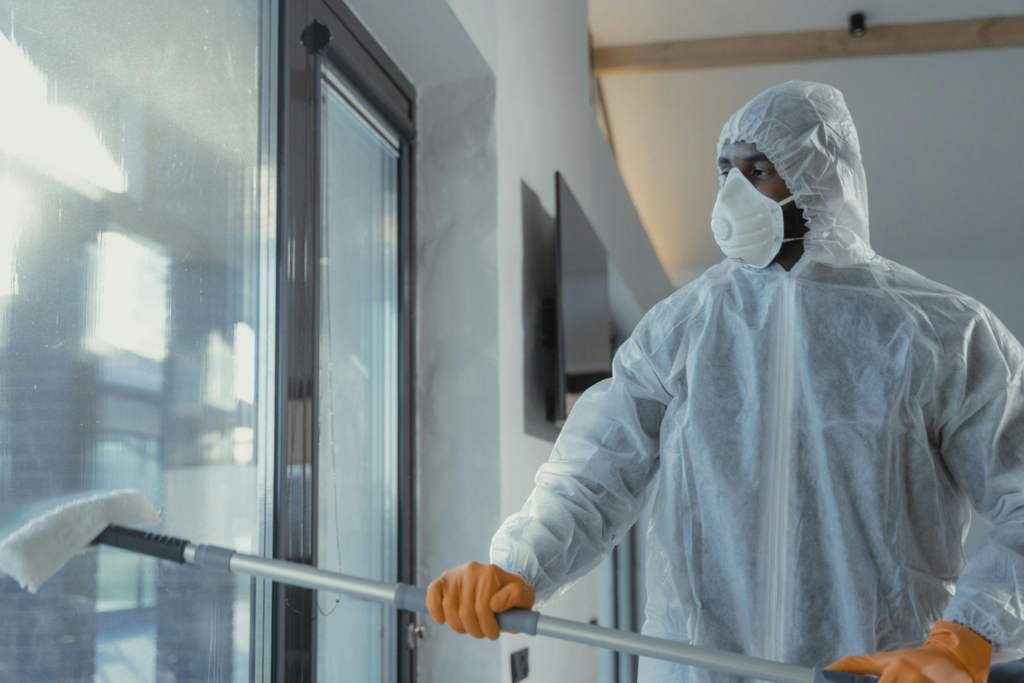 Professional cleaner cleaning office windows